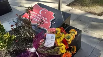 Şehit mezarında duygulandıran doğum günü mesajı: 'Seni çok seviyorum koca çınarım'