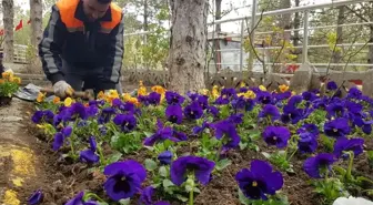 Sungurlu'da şehitlik çiçeklerle donatıldı