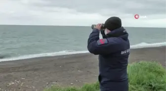 Denizde kaybolan kişi için arama çalışması başlatıldı