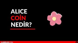 ALICE Coin nedir? (18 Mart) ALICE coin binance yorum ve grafiği