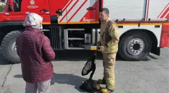 SİLİVRİ'DE DEREYE DÜŞEN KEDİYİ İTFAİYE KURTARDI
