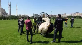 Son dakika haberleri: Adana semalarında izinsiz uçan paramotor polisi alarma geçti