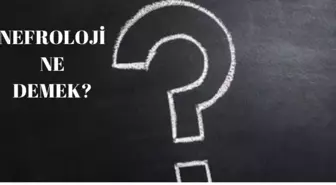 Nefroloji ne demek?