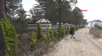 BARTIN Batı Karadeniz'in ilk macera parkı kapılarını açmaya hazırlanıyor