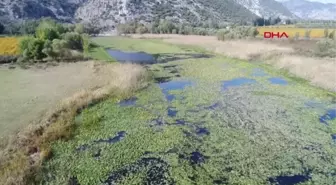 Antalya'nın su deposu Kırkgöz'de, 'çekilme' ve 'kirlilik' uyarısı- TEKRAR