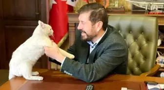 Başkanın makamında sevimli bir maskot