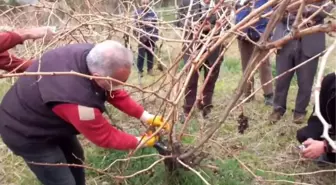 Keban'da Bağ budama eğitimi verildi