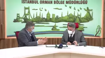 ÖNDER İmam Hatipliler Derneği Hatıra Ormanı kuruluyor