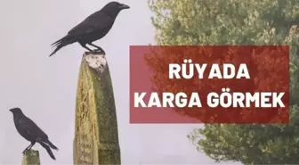 Rüyada karga görmek ne demek? Rüyada karga sürüsü görmek ne anlama gelir?