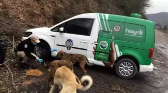 Son dakika haberleri... Zonguldak Emniyet'i sokaktaki canları unutmadı