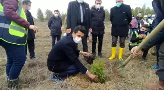 Daday'da 200 üryani eriği toprakla buluştu