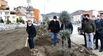 İskilip'te ağaçlandırma çalışmaları devam ediyor