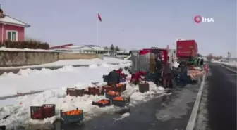 Tonlarca portakal kar içerisinden tek tek toplandı