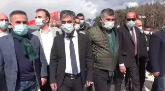 Yanan ormanın her karışı tohumlarla buluştu