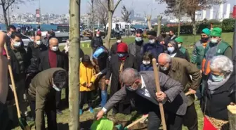 Üsküdar'da sahilde izinsiz kesilen ağaçların yerine yenileri dikildi