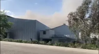 Son dakika haberleri | Mersin'de muz sarartma tesisinde çıkan yangın kontrol altına alındı