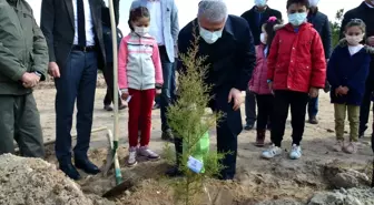 Kırşehir'de 'Ahi Çocuk Hatıra Ormanı' oluşturuldu