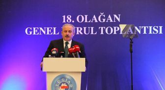 TBMM BAŞKANI ŞENTOP: SALGIN SÜRECİNDE TÜRKİYE'NİN ÖNEMİ DAHA DA ARTTI