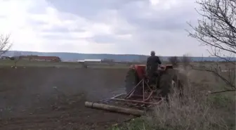 Sürülen tarlada leylek ile kuşların solucan nöbeti