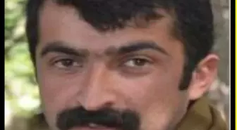 Terörden arananlar listesinde 'kırmızı' ve 'turuncu' kategorideki 2 terörist etkisiz hale getirildi
