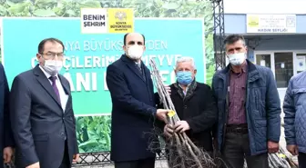 Konya Büyükşehir Belediye Başkanı Altay, Hadimli çiftçilere sertifikalı ceviz fidanı dağıttı