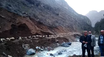 Hakkari'de sürülerin göçü başladı