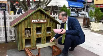 Kediler için villa yaptılar, şehrin çeşitli noktalarına yerleştirdiler