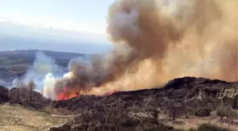 Tekirdağ'da makilik alanda yangın