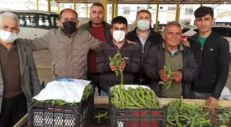 Geçen yıl pandeminin vurduğu baklayı bu yıl don vurdu