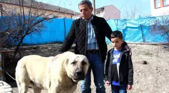 Köpek dile geldi: 'Benim adım Ejder'