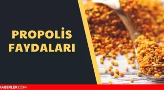 Propolis faydaları nedir? Propolis nedir, nasıl kullanılır?