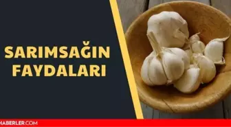 Sarımsağın faydaları nelerdir? İşte Sarımsağın faydaları ve zararları