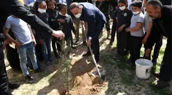 Barış Pınarı bölgesinde yüzler gülüyor