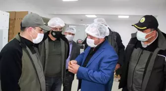 Adana'ya bal ormanları kurulacak