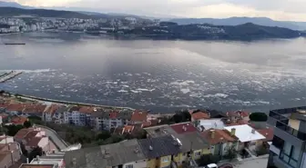 Beyaza bürünen Gemlik Körfezi korkuttu
