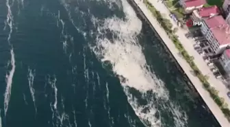 Deniz salyası İzmit Körfezi'ni beyaza bürüdü