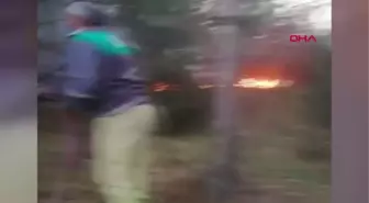 Son dakika! TEKİRDAĞ'DA ORMAN YANGINI
