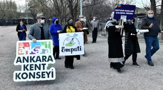 Başkentli hayvanseverler sokak hayvanları için bir araya geldi