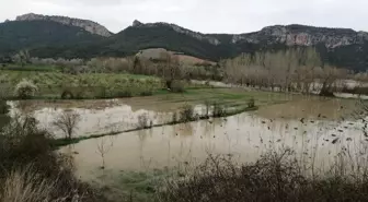 Göksu nehri taştı, tarım arazileri su altında kaldı