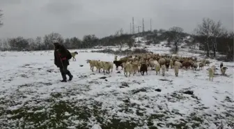 BALKANLAR ÜZERİNDEN GELEN KAR İLE TRAKYA BEMBEYAZ