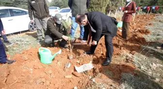 Son dakika haberleri! Beyşehir'de şehitler ve gaziler için orman fidanları toprakla buluşturuldu