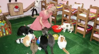 Son dakika haberi... MARDİNLİ MARİLYN MONROE, KEDİ SIĞINMA EVİ KURDU