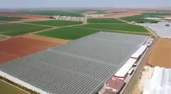 ŞANLIURFA -Harran Ovası'nda jeotermal seraların devamlılığı suyun kaynağına enjeksiyonuyla sağlanacak