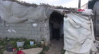 ANTALYA Felçli kadın ağıldan bozma barakada yaşamaya çalışıyor