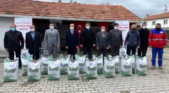 Aslanapa'da üreticilere yonca tohumu dağıtıldı