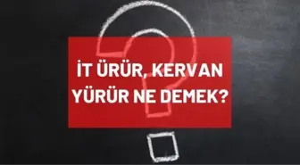 İt ürür, kervan yürür atasözünün anlamı nedir, ne demek? İt ürür kervan yürür anlamı ne? TDK'ya göre ne anlama geliyor?