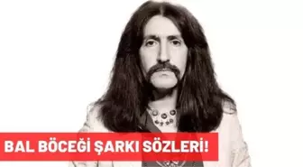 Bal Böceği şarkı sözleri! Barış Manço-Bal Böceği şarkı sözleri tamamı nedir?