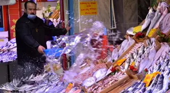 Pazarın ucuzu uskumru, kıralı kalkan