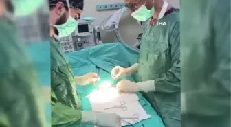 Böbreğinden 11 santimlik tümör çıkarıldı