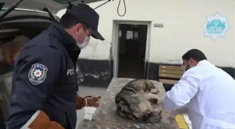 Son dakika haberleri... Yaralı köpeği veterinere 'HAYDİ' polisleri yetiştirdi